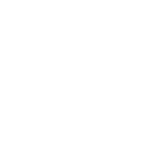 Vision Logo